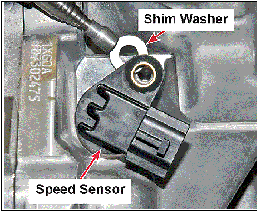 520065657_graphic-text22